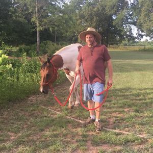 Meet your Posher, Mickey